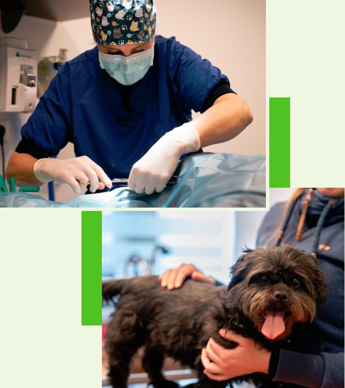 Achtse Barrier onze diensten