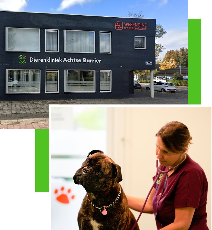 Dierenkliniek Achtse Barrier Sabine