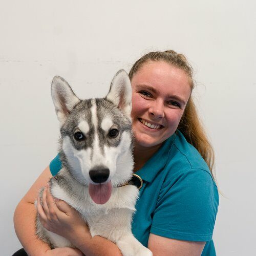 anne paraveterinair