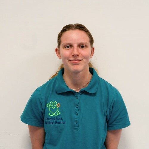 paraveterinair merel