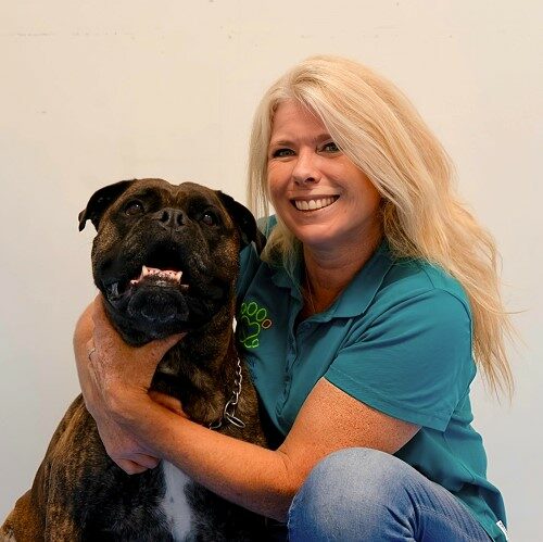 paraveterinair mireille